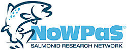 nowpaslogo