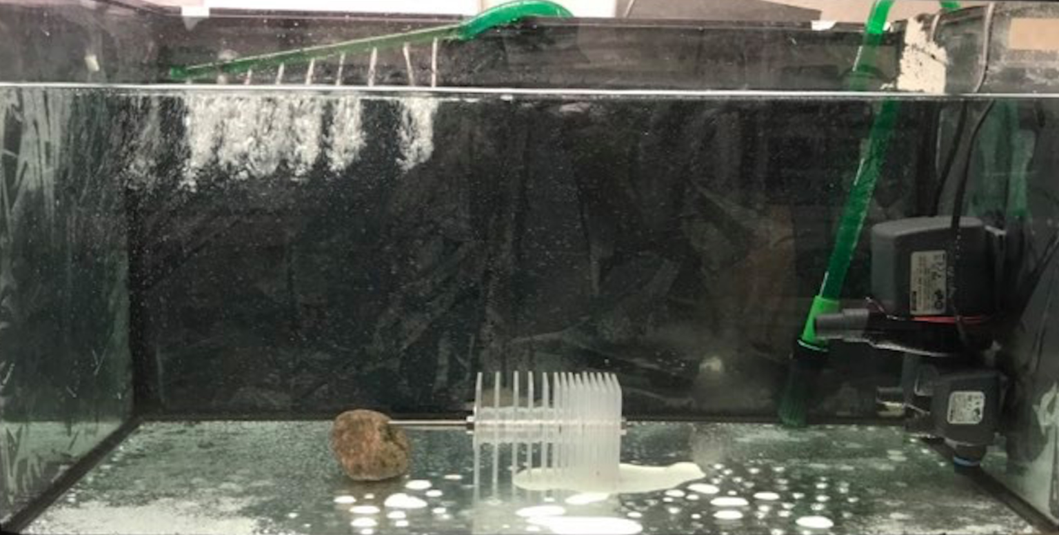 New paper out: The suitability of Hester-Dendy macroinvertebrate ...